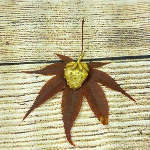 Strawberry Brooch Dress Jewelry Decoration VTG Goldtone Jacket Lapel Pin Gift